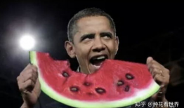 911红领巾爆料吃瓜明星,911红领巾爆料，吃瓜明星背后的惊人真相