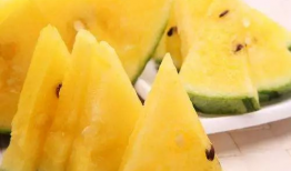 爆料中国吃瓜视频大全最新